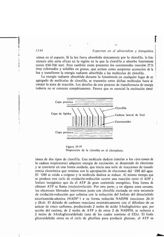 Quimica Organica  2ed  Allinger Cava