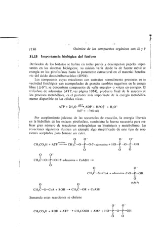 Quimica Organica  2ed  Allinger Cava
