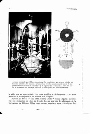 4 Introducción
Aparato empleado por Miller para simular las condiciones que se cree existían en
la tierra primitiva. El metano y el amoníaco circulan continuamente entre el reci-
piente inferior caliente (el «océano») y el superior (la «atmósfera») entre los cua-
les se transmite una descarga eléctrica . (Cedido por Cyril Ponnamperuma .)
la vida tuvo su oportunidad . Los gases sencillos se desintegraron y sus com-
ponentes se recompusieron de manera más compleja .
Durante la década de los 1950, Stanley Miller * realizó algunas experien-
cias que ensayaban las ideas de Oparin . En sus aparatos de laboratorio de la
Universidad de Chicago, Miller puso metano, amoníaco, agua e hidrógeno, for-
 
