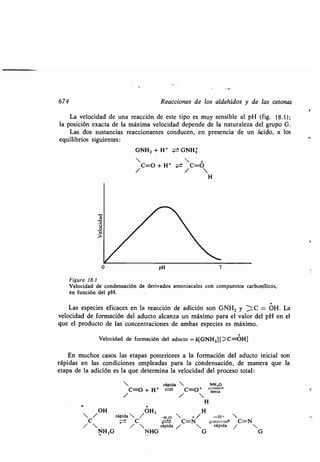 674 Reacciones de los aldehídos y de las cetonas
La velocidad de una reacción de este tipo es muy sensible al pH (fig. 18 .1) ;
la posición exacta de la máxima velocidad depende de la naturaleza del grupo G.
Las dos sustancias reaccionantes conducen, en presencia de un ácido, a los
equilibrios siguientes :
GNH2 + H+ GNH3
•  +
C=O + H+ ~ C=O
• / 
H
Figura 18.1
Velocidad de condensación de derivados amoniacales con compuestos carbonílicos,
en función del pH .
Las especies eficaces en la reacción de adición son GNH 2 y '-- C = Olí . La
velocidad de formación del aducto alcanza un máximo para el valor del pH en el
que el producto de las concentraciones de ambas especies es máximo.
Velocidad de formación del aducto =k[GNH 2][ .C=OH]
En muchos casos las etapas posteriores a la formación del aducto inicial son
rápidas en las condiciones empleadas para la condensación, de manera que la
etapa de la adición es la que determina la velocidad del proceso total :
• rápida  NH,G
C=O + H + = C=O + lenta
• / 
H
•
OH OH,
H - / rápida  J -H=O  + / H+ 
rápida /C=
N
rápida /C=N 
NHZG NHG G G
4
P
r
 