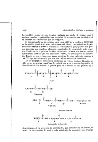 Quimica Organica  2ed  Allinger Cava
