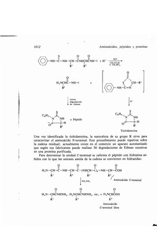 Quimica Organica  2ed  Allinger Cava