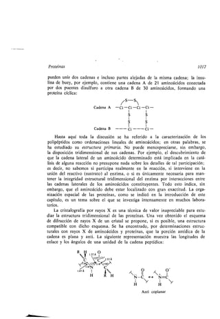 Quimica Organica  2ed  Allinger Cava