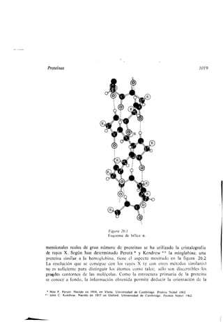 Quimica Organica  2ed  Allinger Cava