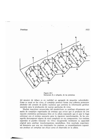 Quimica Organica  2ed  Allinger Cava