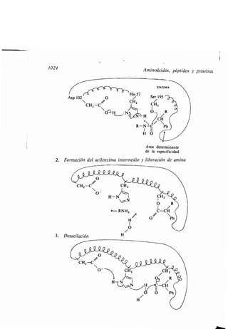 Quimica Organica  2ed  Allinger Cava