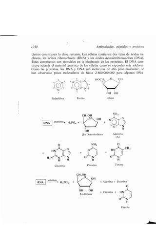 Quimica Organica  2ed  Allinger Cava