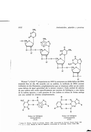 Quimica Organica  2ed  Allinger Cava