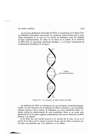 Quimica Organica  2ed  Allinger Cava