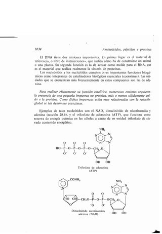 Quimica Organica  2ed  Allinger Cava