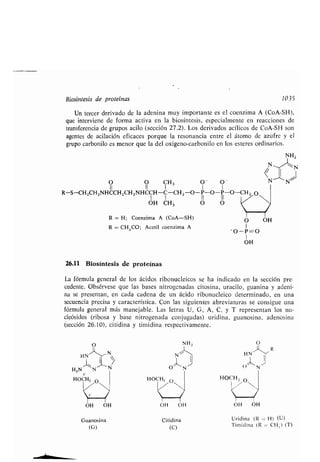Quimica Organica  2ed  Allinger Cava