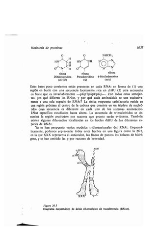 Quimica Organica  2ed  Allinger Cava