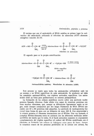 Quimica Organica  2ed  Allinger Cava