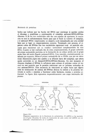 Quimica Organica  2ed  Allinger Cava