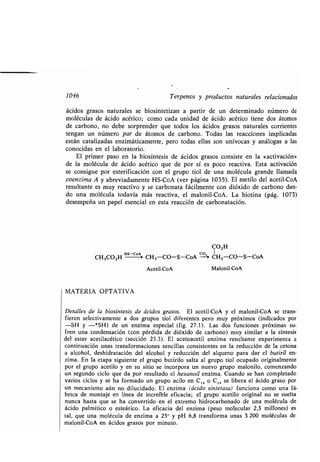 Quimica Organica  2ed  Allinger Cava