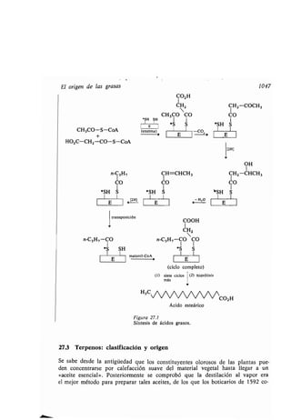 Quimica Organica  2ed  Allinger Cava