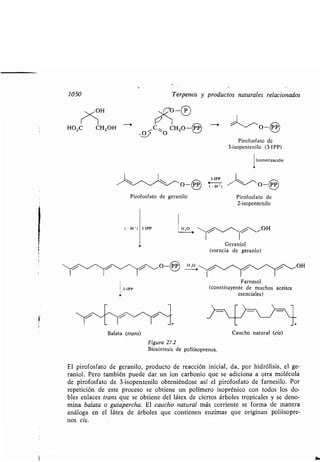 Quimica Organica  2ed  Allinger Cava