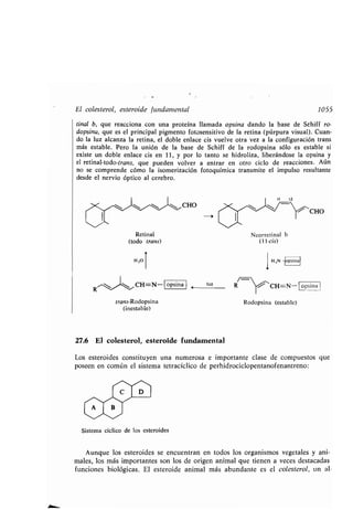Quimica Organica  2ed  Allinger Cava