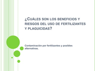 ¿CUÁLES SON LOS BENEFICIOS Y
RIESGOS DEL USO DE FERTILIZANTES
Y PLAGUICIDAS?
Contaminación por fertilizantes y posibles
alternativas.
 