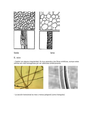 Seda                                              lana

E.   SEDA

- Capilar con alguna irregularidad. Es muy parecida a las fibras sintéticas, aunque estas
ultimas son más homogeneas por ser obtenidas sintéticamente.




- La sección transversal es mas o menos poligonal (como triangulos)
 