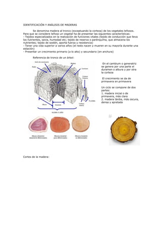 IDENTIFICACIÓN Y ANÁLISIS DE MADERAS

        Se denomina madera al tronco (exceptuando la corteza) de los vegetales leñosos.
Para que se considere leñoso un vegetal ha de presentar las siguientes características:
- Tejidos especializados en la realización de funciones vitales (tejido de conducción que lleva
los nutrientes, savia, humedad etc; tejido de reserva o parénquima, que almacena los
nutrientes; tejido de sostén, aporta fuerza y resistencia)
- Tener una vida superior a varios años (el resto nacen y mueren en su mayoría durante una
estación)
- Presentar un crecimiento primario (a lo alto) y secundario (en anchura)

       Referencia de tronco de un árbol:

                                                                 En el cambium o generatriz
                                                                se genera por una parte el
                                                                duramen o albura y por otra
                                                                la corteza

                                                                 El crecimiento se da de
                                                                primavera en primavera

                                                                Un ciclo se compone de dos
                                                                partes:
                                                                1. madera inicial o de
                                                                primavera, más clara
                                                                2. madera tárdia, más oscura,
                                                                densa y apretada




Cortes de la madera:
 