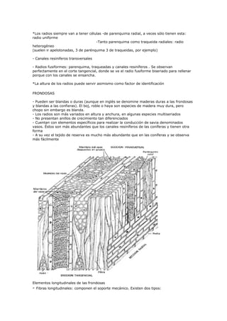 *Los radios siempre van a tener células -de parenquima radial, a veces sólo tienen esta:
radio uniforme
                                    -Tanto parenquima como traqueida radiales: radio
heterogéneo
(suelen ir apelotonadas, 3 de parénquima 3 de traqueidas, por ejemplo)

- Canales resiniferos transversales

- Radios fusiformes: parenquima, traqueadas y canales resiníferos . Se observan
perfectamente en el corte tangencial, donde se ve el radio fusiforme biseriado para rellenar
porque con los canales se ensancha.

*La altura de los radios puede servir asimismo como factor de identificación

FRONDOSAS

- Pueden ser blandas o duras (aunque en inglés se denomine maderas duras a las frondosas
y blandas a las confieras). El boj, roble o haya son especies de madera muy dura, pero
chopo sin embargo es blanda.
- Los radios son más variados en altura y anchura, en algunas especies multiseriados
- No presentan anillos de crecimiento tan diferenciados
- Cuentan con elementos específicos para realizar la conducción de savia denominados
vasos. Éstos son más abundantes que los canales resiníferos de las coníferas y tienen otra
forma
- A su vez el tejido de reserva es mucho más abundante que en las coníferas y se observa
más fácilmente




Elementos longitudinales de las frondosas
-   Fibras longitudinales: componen el soporte mecánico. Existen dos tipos:
 