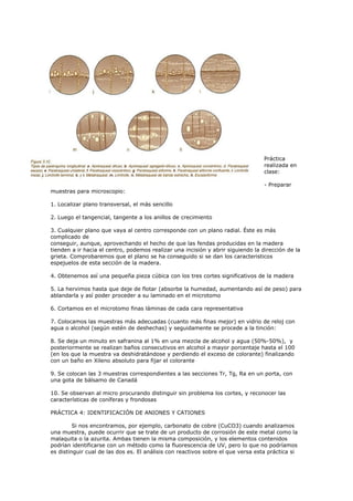 Práctica
                                                                                  realizada en
                                                                                  clase:

                                                                                  - Preparar
muestras para microscopio:

1. Localizar plano transversal, el más sencillo

2. Luego el tangencial, tangente a los anillos de crecimiento

3. Cualquier plano que vaya al centro corresponde con un plano radial. Éste es más
complicado de
conseguir, aunque, aprovechando el hecho de que las fendas producidas en la madera
tienden a ir hacia el centro, podemos realizar una incisión y abrir siguiendo la dirección de la
grieta. Comprobaremos que el plano se ha conseguido si se dan los caracteristicos
espejuelos de esta sección de la madera.

4. Obtenemos así una pequeña pieza cúbica con los tres cortes significativos de la madera

5. La hervimos hasta que deje de flotar (absorbe la humedad, aumentando así de peso) para
ablandarla y así poder proceder a su laminado en el microtomo

6. Cortamos en el microtomo finas láminas de cada cara representativa

7. Colocamos las muestras más adecuadas (cuanto más finas mejor) en vidrio de reloj con
agua o alcohol (según estén de deshechas) y seguidamente se procede a la tinción:

8. Se deja un minuto en safranina al 1% en una mezcla de alcohol y agua (50%-50%), y
posteriormente se realizan baños consecutivos en alcohol a mayor porcentaje hasta el 100
(en los que la muestra va deshidratándose y perdiendo el exceso de colorante) finalizando
con un baño en Xileno absoluto para fijar el colorante

9. Se colocan las 3 muestras correspondientes a las secciones Tr, Tg, Ra en un porta, con
una gota de bálsamo de Canadá

10. Se observan al micro procurando distinguir sin problema los cortes, y reconocer las
características de coníferas y frondosas

PRÁCTICA 4: IDENTIFICACIÓN DE ANIONES Y CATIONES

         Si nos encontramos, por ejemplo, carbonato de cobre (CuCO3) cuando analizamos
una muestra, puede ocurrir que se trate de un producto de corrosión de este metal como la
malaquita o la azurita. Ambas tienen la misma composición, y los elementos contenidos
podrían identificarse con un método como la fluorescencia de UV, pero lo que no podríamos
es distinguir cual de las dos es. El análisis con reactivos sobre el que versa esta práctica si
 