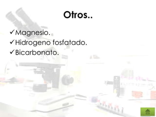 Otros..
Magnesio.
Hidrogeno fosfatado.
Bicarbonato.
 
