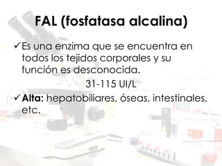 FAL (fosfatasa alcalina)
Es una enzima que se encuentra en
todos los tejidos corporales y su
función es desconocida.
31-115 UI/L
Alta: hepatobiliares, óseas, intestinales,
etc.
 