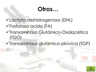 Otros…
Lactato deshidrogenasa (DHL)
Fosfatasa acida (FA)
Transaminasa Glutámico-Oxalacética
(TGO)
Transaminasa glutámico-pirúvica (TGP)
 