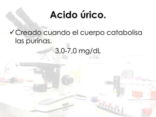 Acido úrico.
Creado cuando el cuerpo catabolisa
las purinas.
3,0-7,0 mg/dL
 