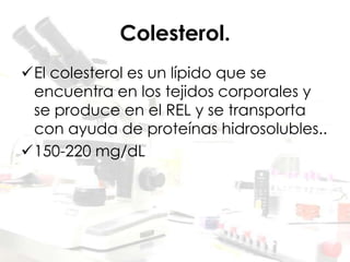 Colesterol.
El colesterol es un lípido que se
encuentra en los tejidos corporales y
se produce en el REL y se transporta
con ayuda de proteínas hidrosolubles..
150-220 mg/dL
 