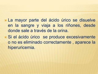  La mayor parte del ácido úrico se disuelve
en la sangre y viaja a los riñones, desde
donde sale a través de la orina.
 Si el ácido úrico se produce excesivamente
o no es eliminado correctamente , aparece la
hiperuricemia.
 