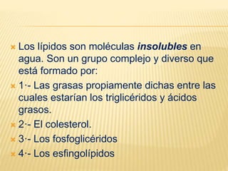  Los lípidos son moléculas insolubles en
agua. Son un grupo complejo y diverso que
está formado por:
 1·- Las grasas propiamente dichas entre las
cuales estarían los triglicéridos y ácidos
grasos.
 2·- El colesterol.
 3·- Los fosfoglicéridos
 4·- Los esfingolípidos
 