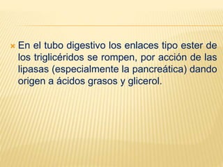  En el tubo digestivo los enlaces tipo ester de
los triglicéridos se rompen, por acción de las
lipasas (especialmente la pancreática) dando
origen a ácidos grasos y glicerol.
 