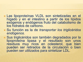  Las lipoproteínas VLDL son sintetizadas en el
hígado y en el intestino a partir de los lípidos
exógenos y endógenos fruto del catabolismo de
los hidratos de carbono.
 Su función es la de transportar los triglicéridos
endógenos.
 Sus triglicéridos son también degradados por la
lipoproteína lipasa y el resultado son unos
residuos muy ricos en colesterol, que bien
pueden ser retirados de la circulación o bien
pueden ser utilizados para sintetizar LDL.
 