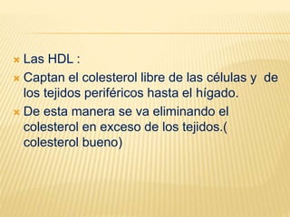  Las HDL :
 Captan el colesterol libre de las células y de
los tejidos periféricos hasta el hígado.
 De esta manera se va eliminando el
colesterol en exceso de los tejidos.(
colesterol bueno)
 
