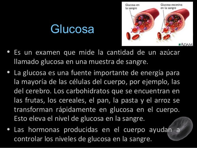 Quimica sanguinea completa Quimica sanguinea completa