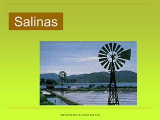 PROFESSORA CLÁUDIA BACCHI
Salinas
 