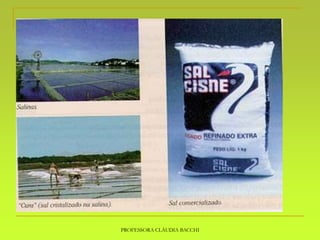 PROFESSORA CLÁUDIA BACCHI
 