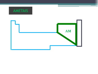 AMETAIS
AM
 