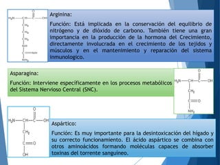 Arginina:
Función: Está implicada en la conservación del equilibrio de
nitrógeno y de dióxido de carbono. También tiene una gran
importancia en la producción de la hormona del Crecimiento,
directamente involucrada en el crecimiento de los tejidos y
músculos y en el mantenimiento y reparación del sistema
inmunologico.
Asparagina:
Función: Interviene específicamente en los procesos metabólicos
del Sistema Nervioso Central (SNC).
Aspártico:
Función: Es muy importante para la desintoxicación del hígado y
su correcto funcionamiento. El ácido aspártico se combina con
otros aminoácidos formando moléculas capaces de absorber
toxinas del torrente sanguíneo.
 