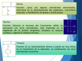 Serina:
Función: Junto con algunos aminoácidos mencionados,
interviene en la desintoxicación del organismo, crecimiento
muscular, y metabolismo de grasas y ácidos grasos.
Taurina:
Función: Estimula la hormona del Crecimiento (HGH) en
asociación con otros aminoácidos, está implicada en la
regulación de la presión sanguínea, fortalece el músculo
cardiaco y vigoriza el sistema nervioso.
Tirosina:
Función: Es un neurotrasmisor directo y puede ser muy eficaz
en el tratamiento de la depresión, en combinación con otros
aminoácidos necesarios.
 