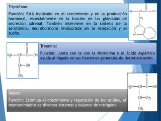 Triptófano:
Función: Está inplicado en el crecimiento y en la producción
hormonal, especialmente en la función de las glándulas de
secreción adrenal. También interviene en la síntesis de la
serotonina, neurohormona involucrada en la relajación y el
sueño.
Treonina:
Función: Junto con la con la Metionina y el ácido Aspártico
ayuda al hígado en sus funciones generales de desintoxicación.
Valina:
Función: Estimula el crecimiento y reparación de los tejidos, el
mantenimiento de diversos sistemas y balance de nitrógeno.
 