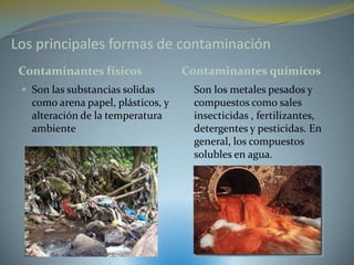 Los principales formas de contaminación
 Contaminantes físicos              Contaminantes químicos
  Son las substancias solidas       Son los metales pesados y
   como arena papel, plásticos, y     compuestos como sales
   alteración de la temperatura       insecticidas , fertilizantes,
   ambiente                           detergentes y pesticidas. En
                                      general, los compuestos
                                      solubles en agua.
 