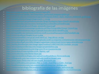 bibliografía de las imágenes
   http://www.camchi.org.pa/images/camchi/Agua.JPG
   http://www2.uah.es/tejedor_bio/bioquimica_ambiental/imagenes/globo.gif
   http://www.une.edu.mx/mod2005/imagenes/Postgrado/folleto_diplo_impacto_ambiental_grafico.jpg
   http://tiernanscience.ie/lang3/images/p007_1_02.jpg
   http://www.educared.pe/periodismoescolar/blogs/feyalegria1/Agua-thumb-567x565.jpg
   http://www.laescolar.com/servicios/monografias/a/atmosfera/atmosfera.jpg
   http://www.boche.arrakis.es/CTcapa_ozono(18)/ima07a.gif
   http://www.ewab.net/Contentmgr/ewabcms.nsf/files/Group/$file/Group_Umwelt.jpg
   http://www.ambientisnatura.org.ar/Uploads/Articulos/9f0b77dee8fb4.jpg
   http://www.publico.es/resources/archivos/2008/3/4/1204664224213corales%20afpdn.jpg
   http://www.evp.edu.py/images/22-ar-12.png
   http://www.prensalibre.com.gt/pl/2008/abril/23/_Img/387231_101.jpg
   http://www.estanques.net/wp-content/uploads/2008/03/esquema-contaminacion-del-estanquew.jpg
   http://www.sma.df.gob.mx/mhn/images/04asomate/visitavirtual/tierra/capas-atmosfera.jpg
   http://media.photobucket.com/image/agua%20dura/LABGUAGUAU/coolads_002.jpg
   http://www.balneariovillavieja.com/images/propiedades01.jpg
   http://static1.mundoanuncio.com/img/2007/8/20/11543932091.jpg
   http://www.sinia.cl/1292/articles-37761_figura3_1.gif
   http://www.educima.com/lluvia-t9945.jpg
   http://nuevoscientificos.blogia.com/upload/20080326181020-lluvia-acida.jpg
   http://elblogverde.com/wp-content/uploads/2008/10/image7.png
   http://farm1.static.flickr.com/118/290765368_fece12ec6c.jpg
   http://www.fullfondos.com/paisajes/Mar_y_Cielo_Azul/Mar_y_Cielo_Azul.jpg
   http://laradioenmexico.com/wp-content/uploads/2009/04/_ecologia.jpg
   http://maestrosxlaecologia.files.wordpress.com/2009/02/ecologia_millenium.jpg
   http://www.tierradeguardianes.com.ar/imagenes/edicion8/proyecto-ECOLOGIA%202.jpg
 