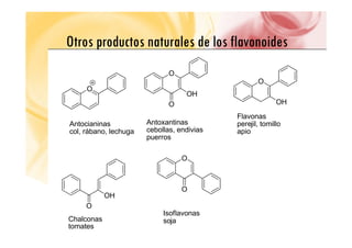 Otros productos naturales de los flavonoides
Otros productos naturales de los flavonoides
O
O
OH
O
Antocianinas
OH
O
Antoxantinas
OH
Flavonas
perejil tomillo
Antocianinas
col, rábano, lechuga
Antoxantinas
cebollas, endivias
puerros
perejil, tomillo
apio
O
OH
O
O
Chalconas
tomates
Isoflavonas
soja
 