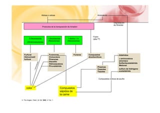Aldosa o cetosa Aminoácido
Productos de la transposición de Amadori
Degradación
de Strecker
3-Deoxiosonas
(Dihidroreductonas
1-Deoxiosonas
(Reductonas)
1-Amino-1,4-
dideoxiosonas
Fisión
(alta Tª)
Furfural
Hid i til
Furanonas
Ci l t
Furanos Compuestos
di b íli
Aldehídos
Hidroximetil
furfural
Cicloocteno
Piranonas
Diacetilo
Hidroxiacetona
Piruvaldehido
dicarbonílicos
α-aminocetona
amoniaco
Sulfanilacetaldehído
Metional
sulfuro de hidrógeno
Pirazinas
Oxazoles sulfuro de hidrógeno
acetaldehído
Oxazoles
Tiazoles
Compuestos cíclicos de azufre
color Compuestos
sápidos de
la carne
la carne
H. This Angew. Chem. Int. Ed. 2002, 41 No. 1
 