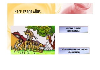 HACE 12 000 AÑOS
HACE 12.000 AÑOS…
CULTIVA PLANTAS
(AGRICULTURA)
CRÍA ANIMALES EN CAUTIVIDAD
(GANADERÍA)
 