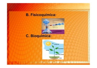 B. Físicoquímica:




C. Bioquímica:
 